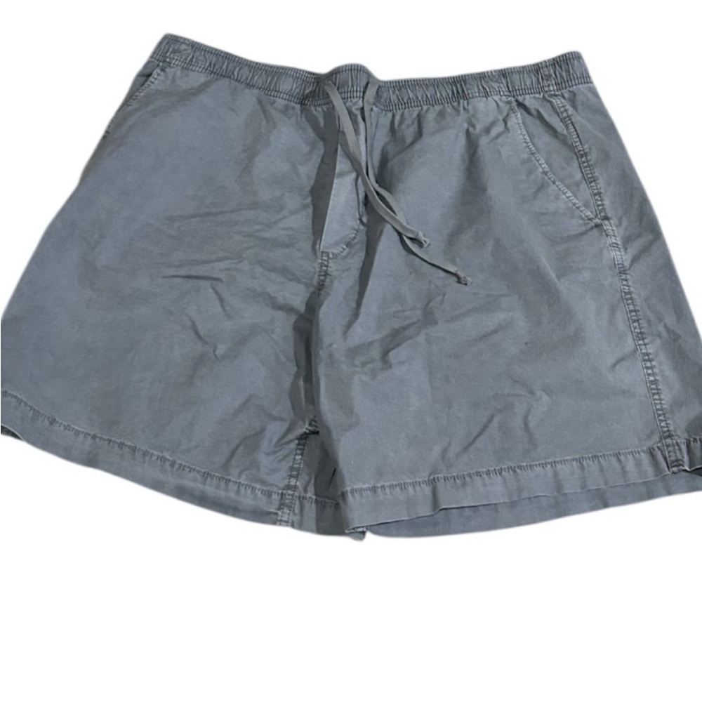American Eagle Gray Flat Front Shorts with Relaxed Fit - Picture 3 of 7